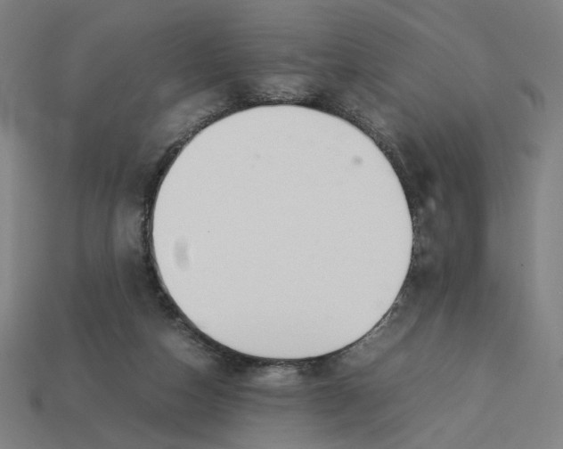 X0000113350162200910061026