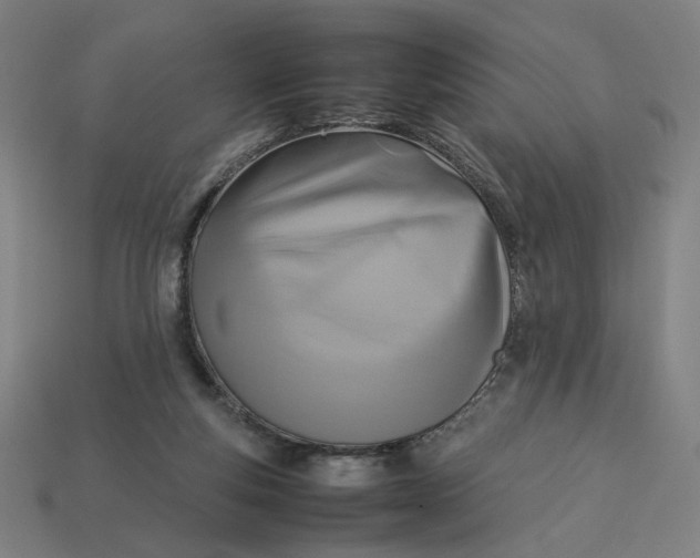 X0000113350163200910061026