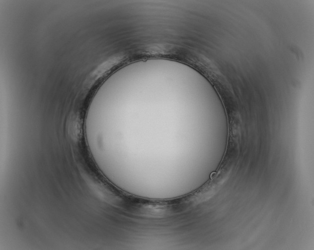 X0000113350164200910061026