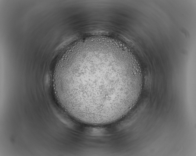 X0000113350165200910061026