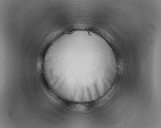 X0000113350166200910061026