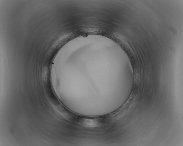 X0000113350167200910061026