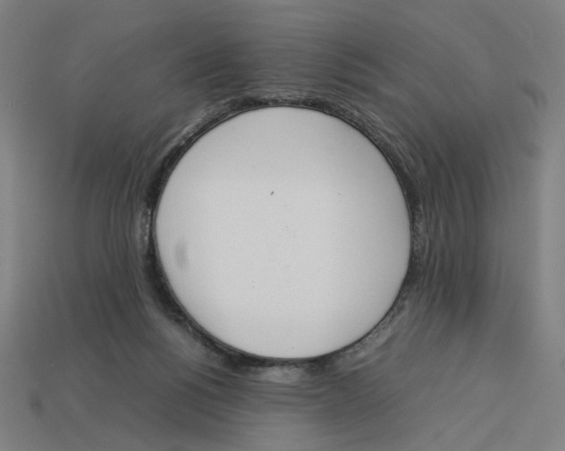 X0000113350168200910061026