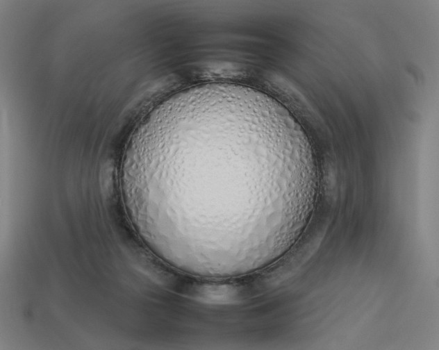 X0000113350169200910061026