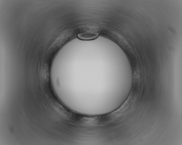 X0000113350170200910061026