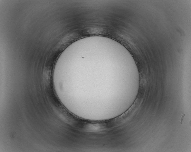 X0000113350171200910061026