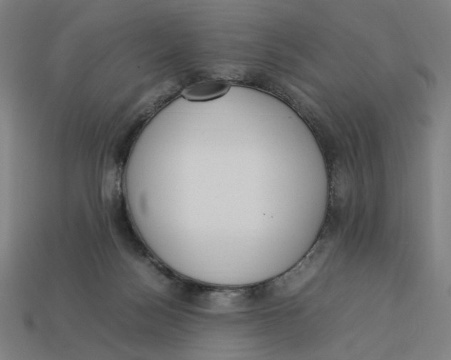 X0000113350172200910061026