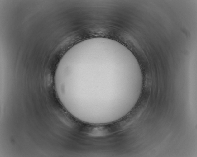 X0000113350173200910061026