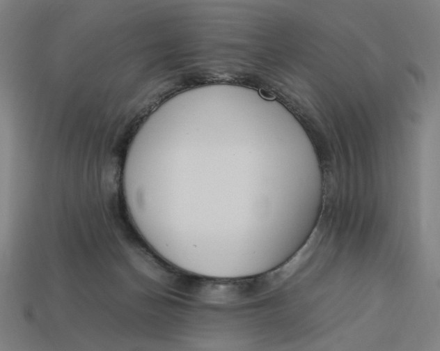 X0000113350174200910061026