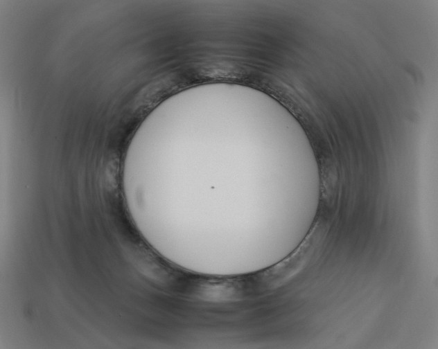 X0000113350175200910061026