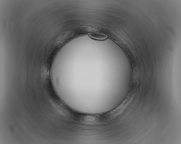 X0000113350176200910061026