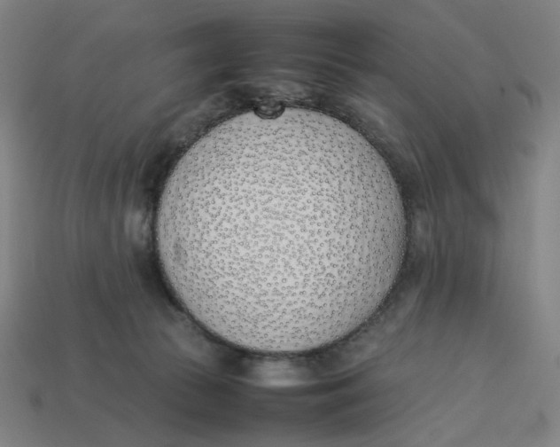 X0000113350177200910061026