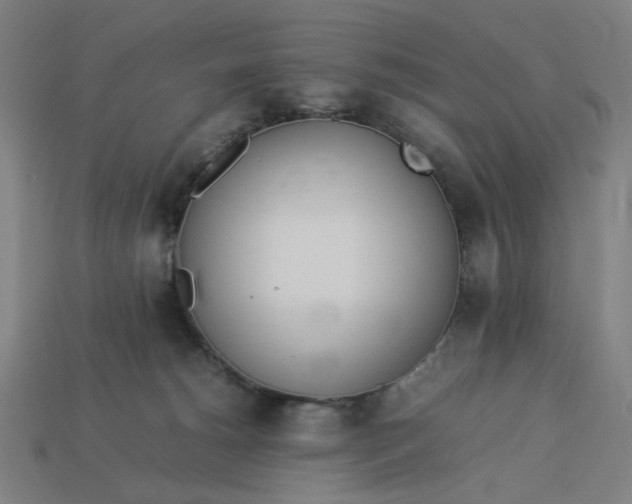 X0000113350180200910061027