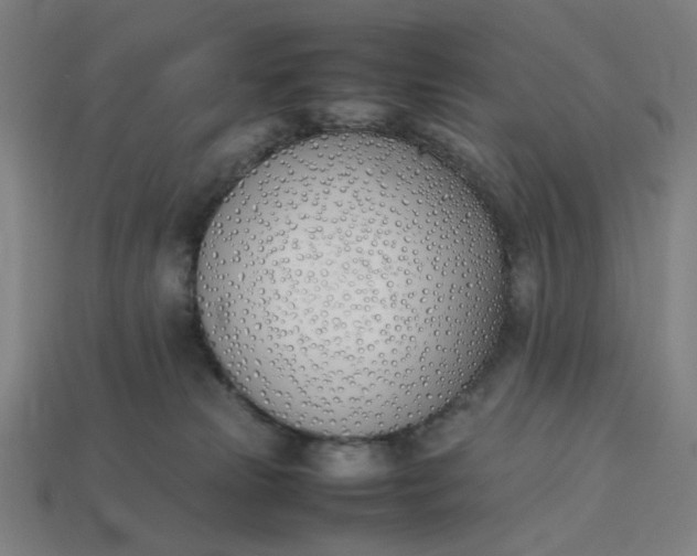 X0000113350181200910061027