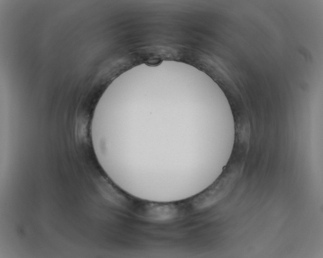 X0000113350185200910061027