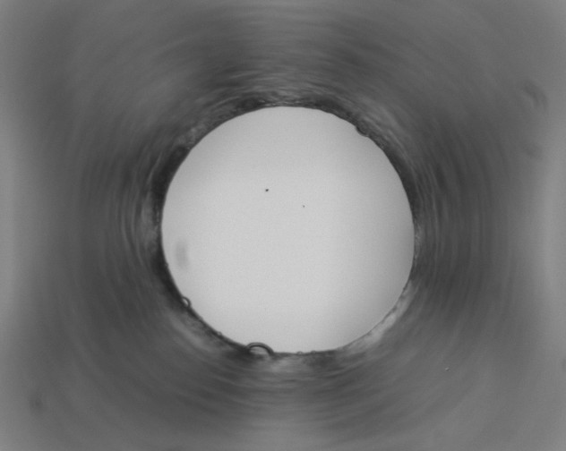 X0000113350186200910061027