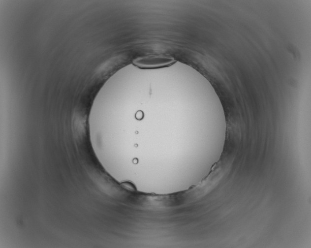 X0000113350188200910061027