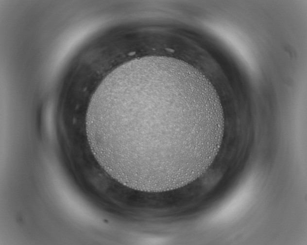 X0000113350189200910061027