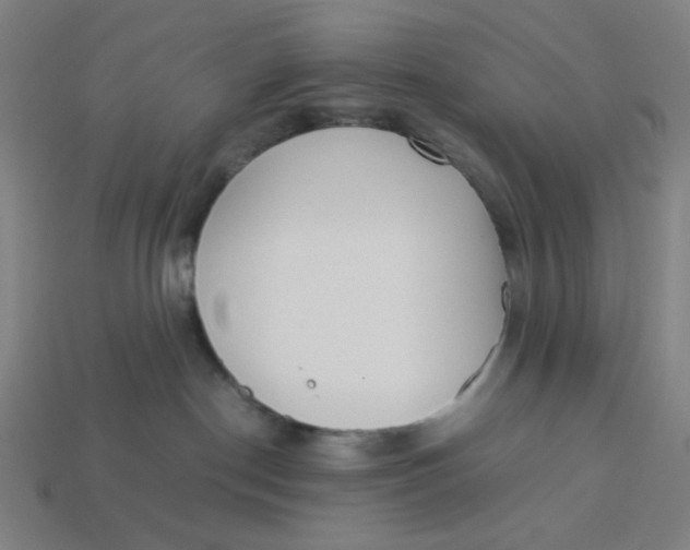 X0000113350190200910061027