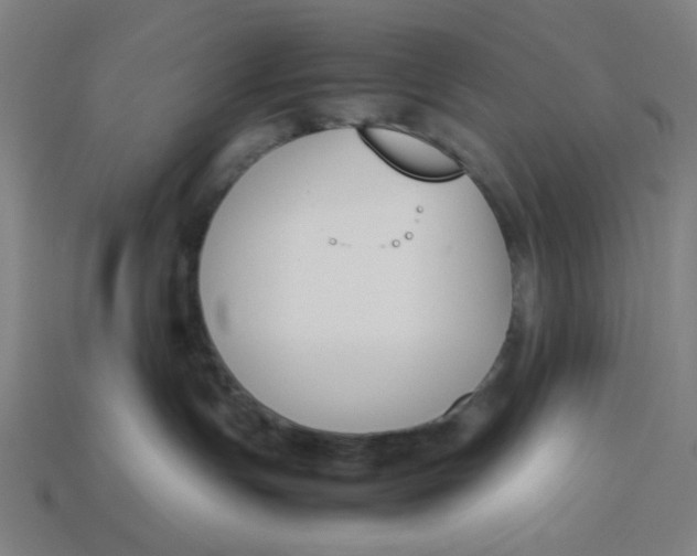 X0000113350191200910061027