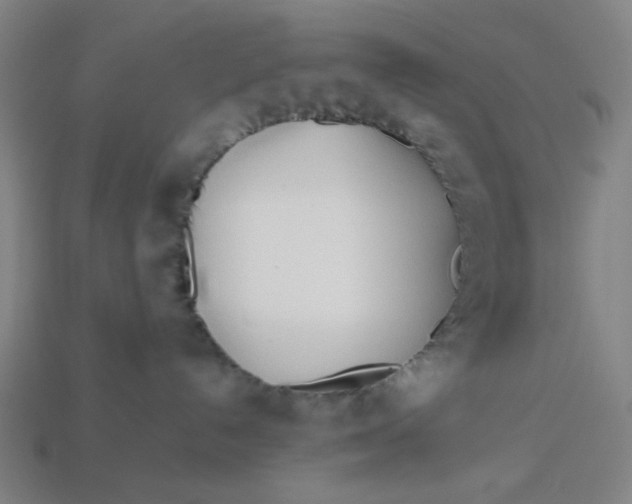 X0000113350192200910061027