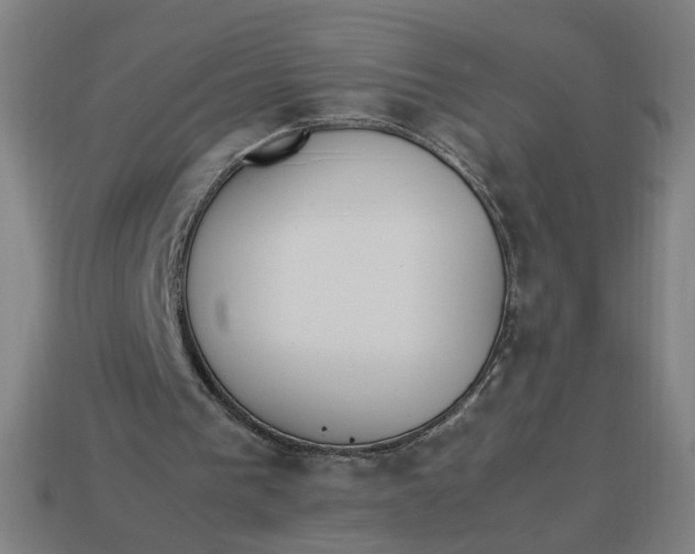 X0000113350193200910061026