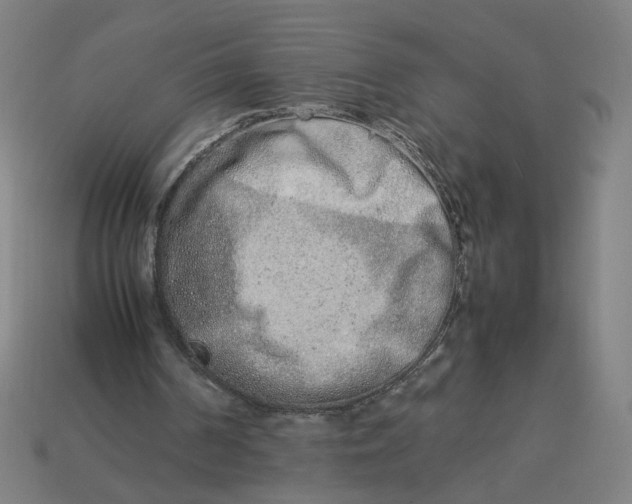 X0000113350194200910061026