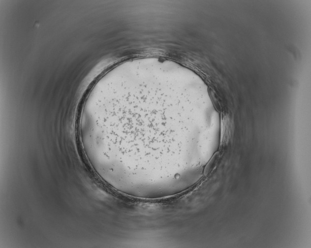 X0000113350195200910061026