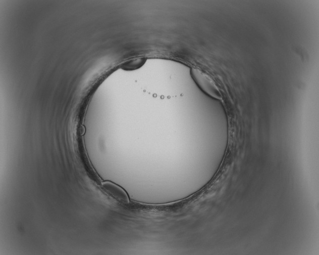 X0000113350197200910061026