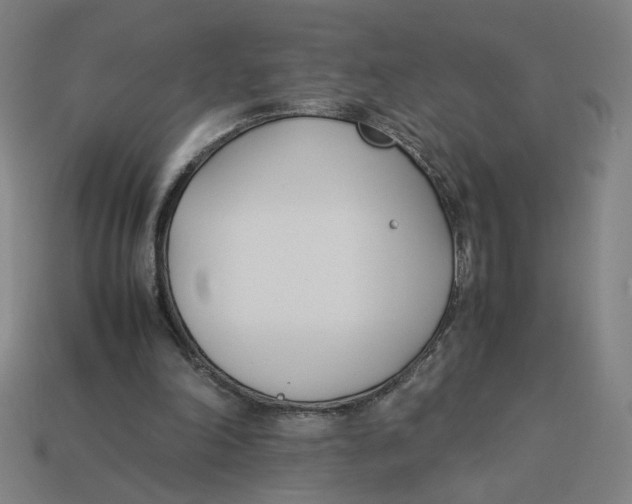 X0000113350198200910061026