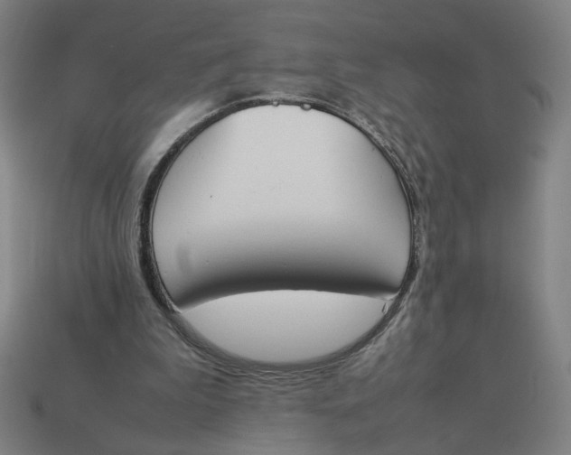 X0000113350199200910061026