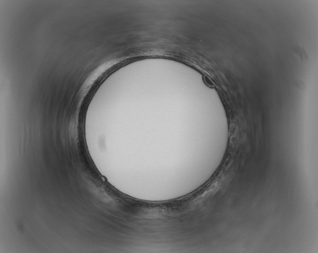 X0000113350200200910061026