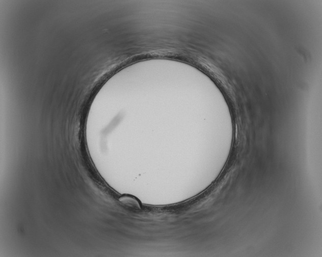 X0000113350201200910061026