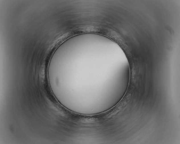 X0000113350202200910061026