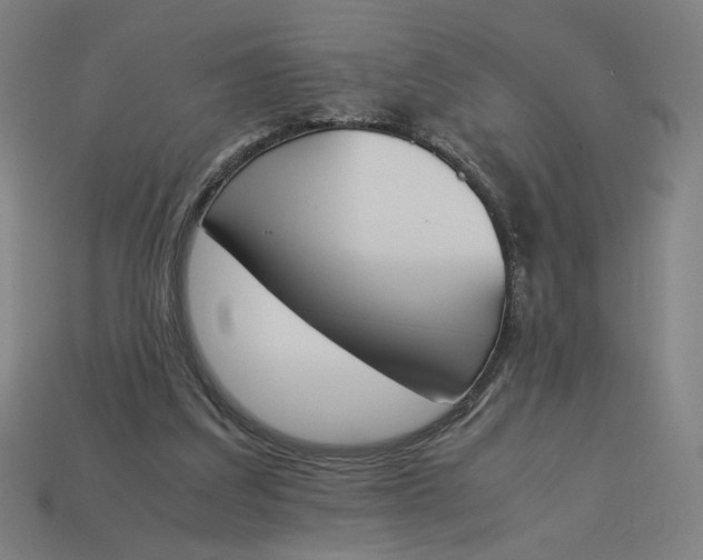 X0000113350203200910061026