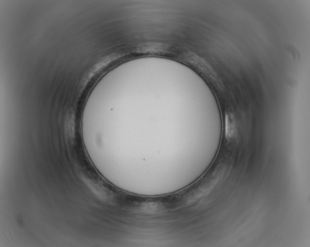 X0000113350204200910061026