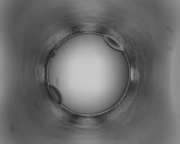 X0000113350205200910061026