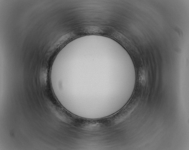 X0000113350206200910061026