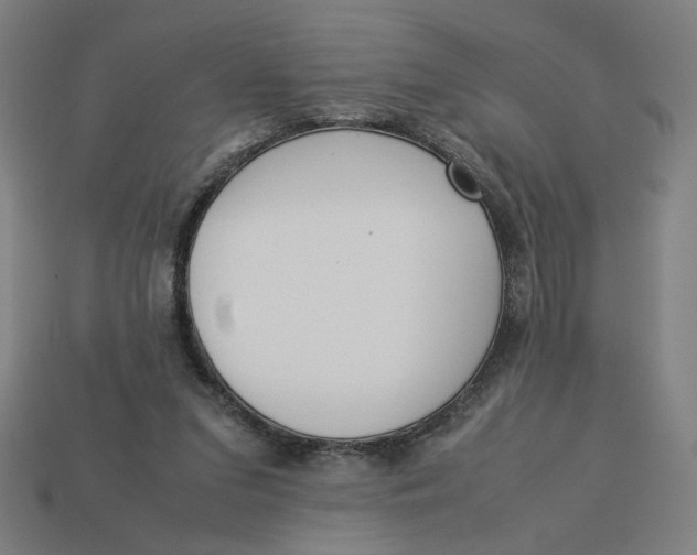 X0000113350207200910061026