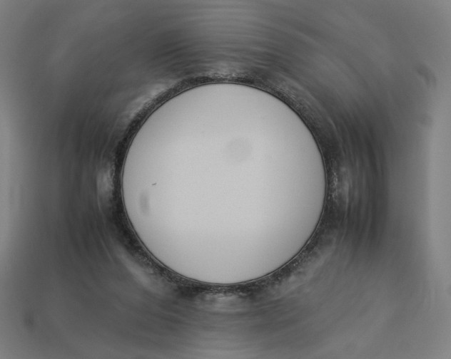 X0000113350208200910061026