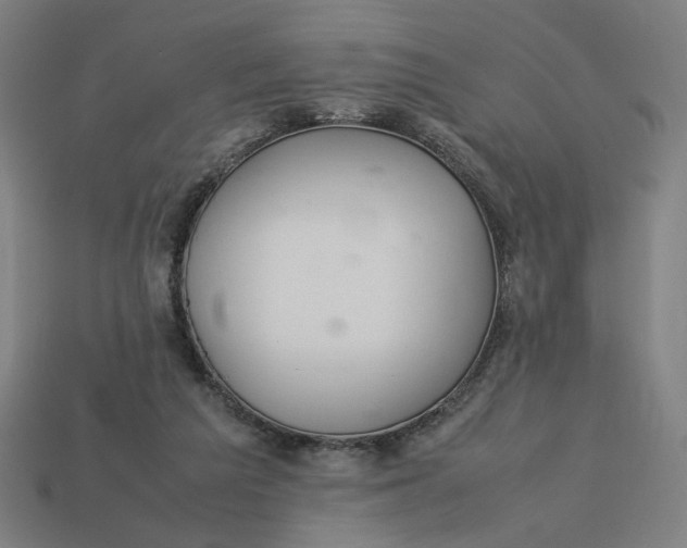 X0000113350209200910061026