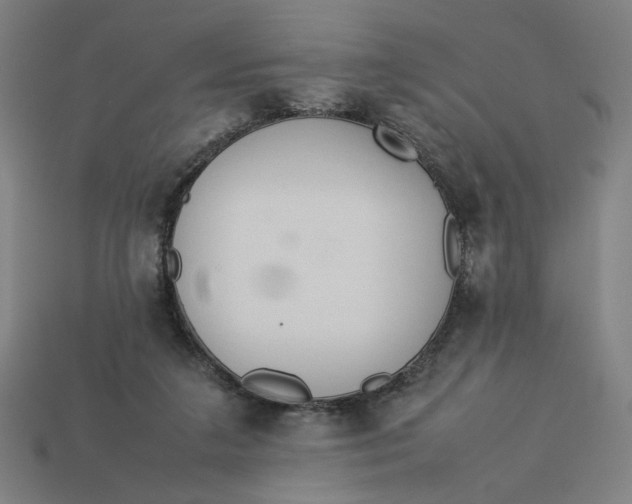 X0000113350211200910061026