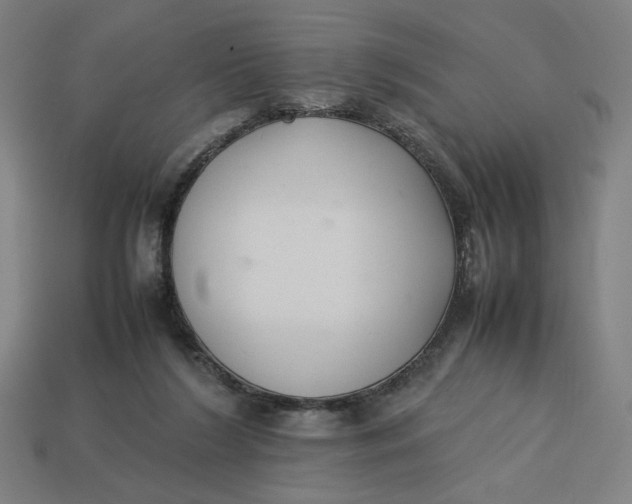 X0000113350212200910061026