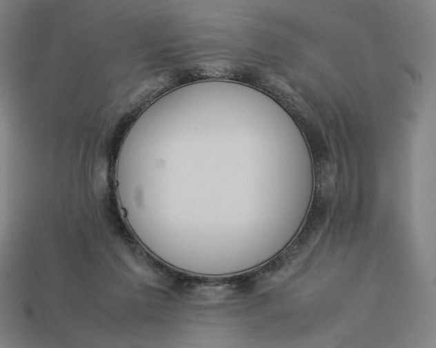 X0000113350213200910061026