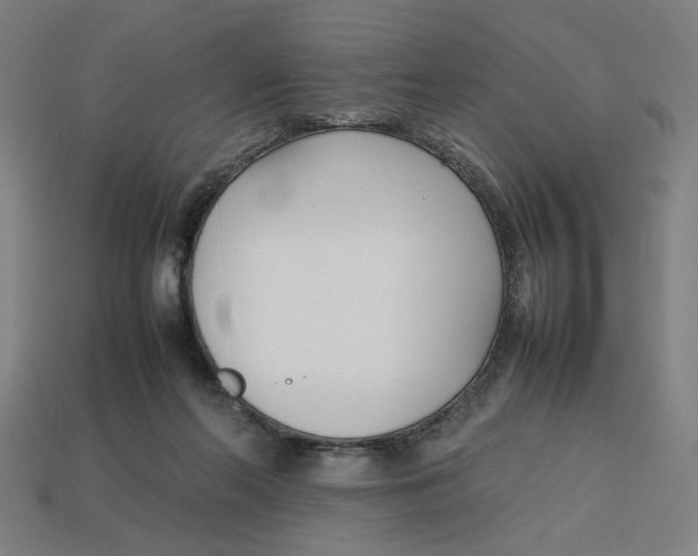 X0000113350214200910061026