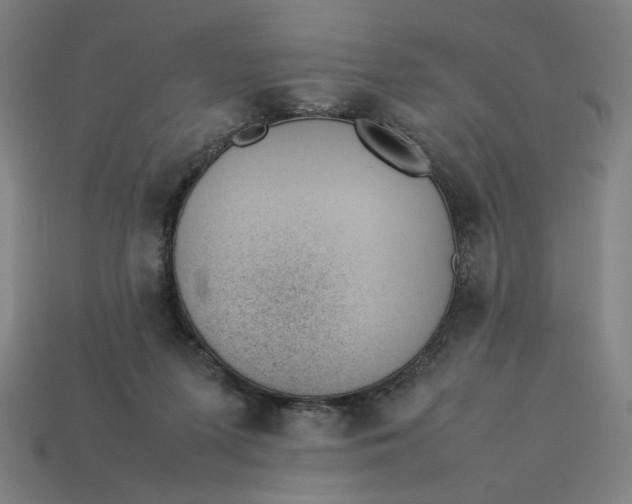 X0000113350215200910061026