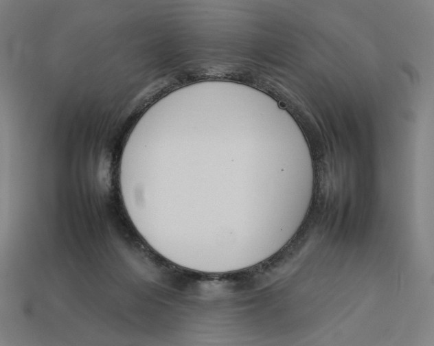 X0000113350216200910061026