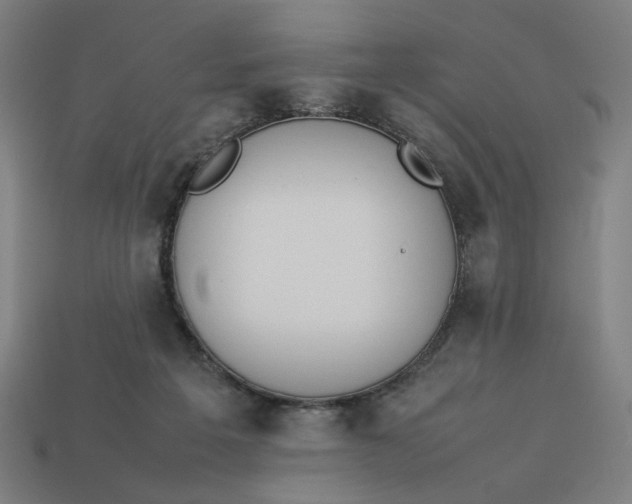 X0000113350217200910061026