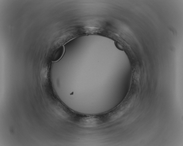 X0000113350219200910061026