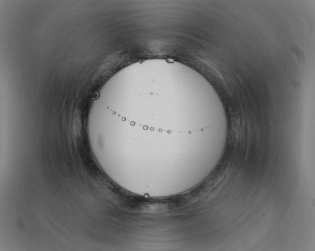 X0000113350220200910061026